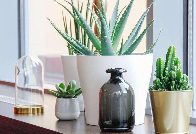 Best Western Plus Plaza Hotel Graz