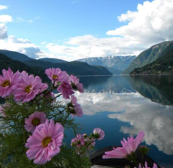 בית מלון כפרי Brakanes