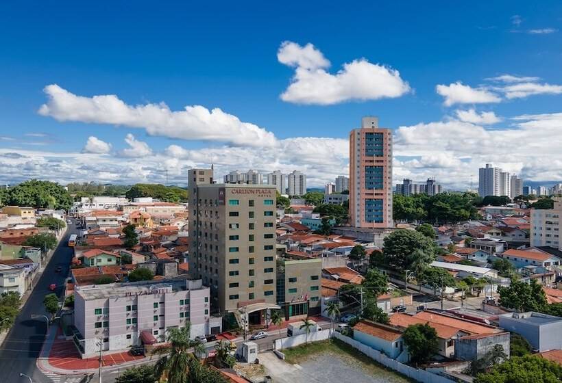 Отель Carlton Plaza São José Dos Campos