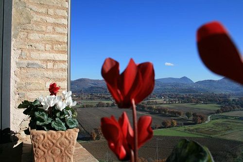 Отель Albergo Del Teatro