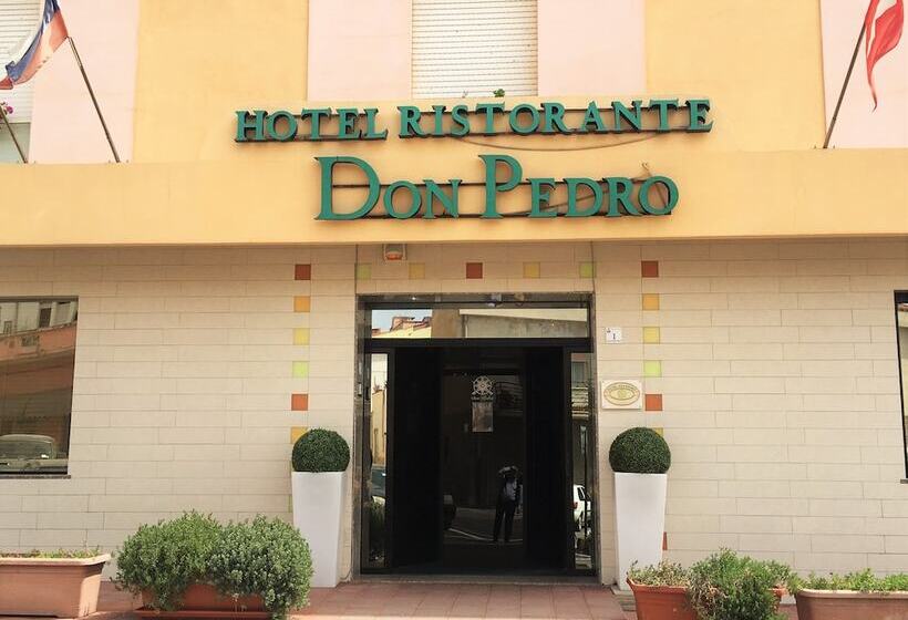 فندق Don Pedro