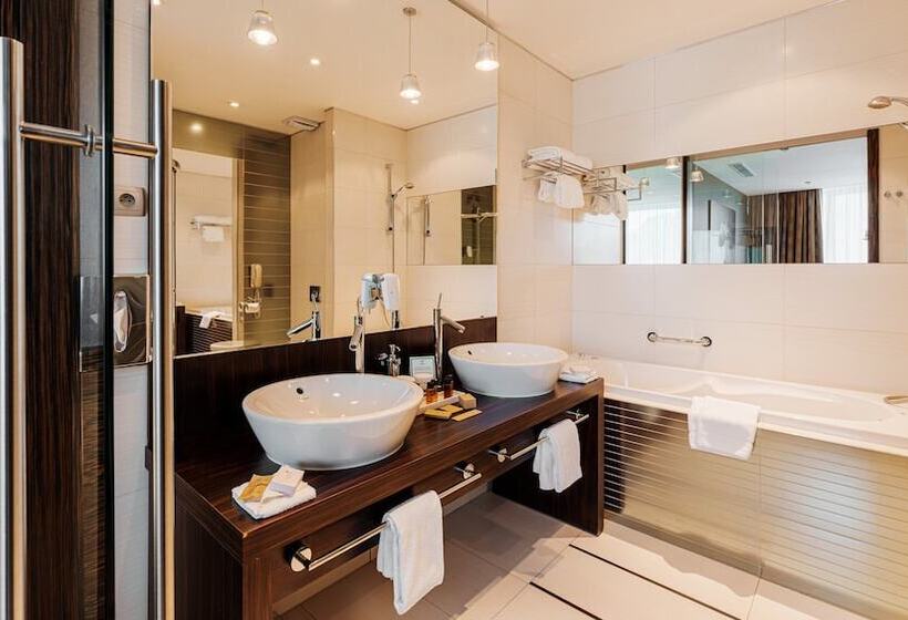 فندق Holiday Inn Zilina, An Ihg