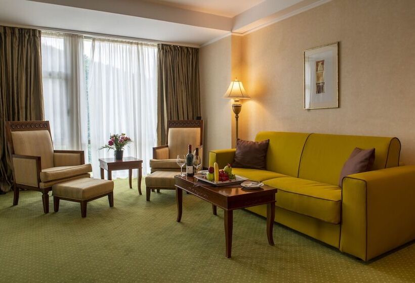 ホテル Hp Tower One Brasov