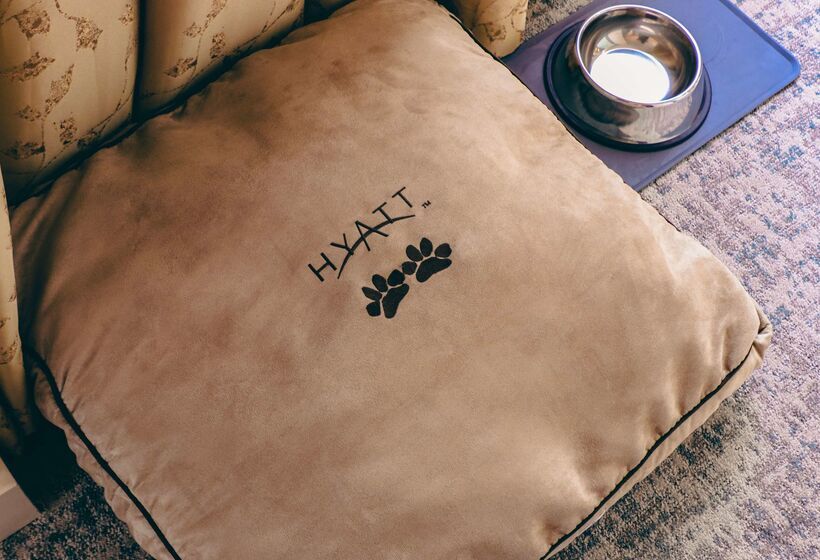 Отель Hyatt At Olive 8