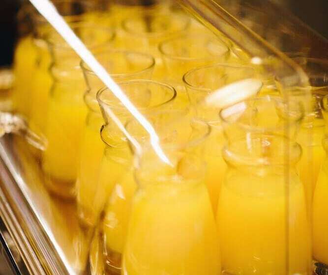 בית מלון כפרי Kastro