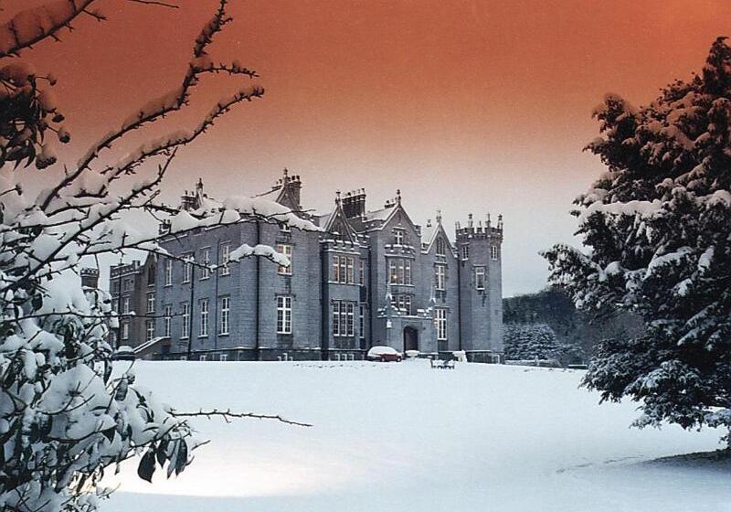 酒店 Kinnitty Castle