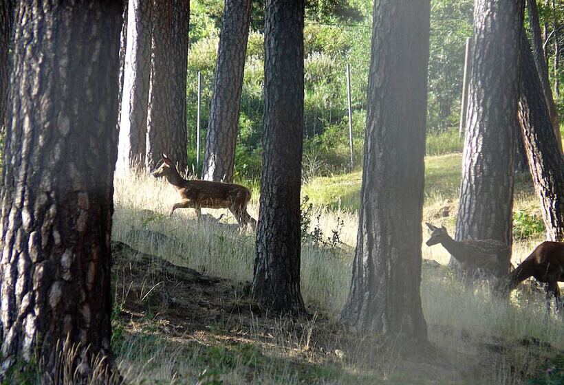 فندق Posada Las Mayas