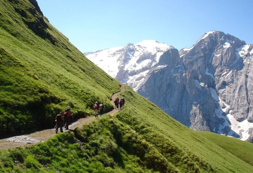 בית מלון כפרי Medil