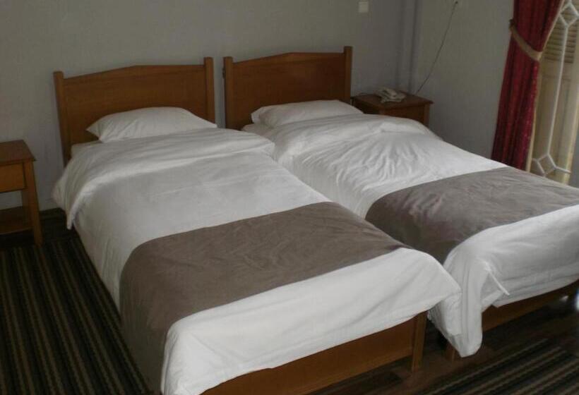 בית מלון כפרי Metropolis