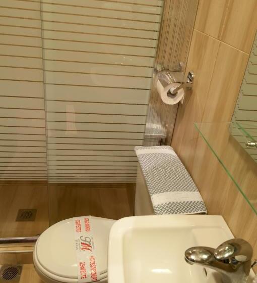 בית מלון כפרי Metropolis