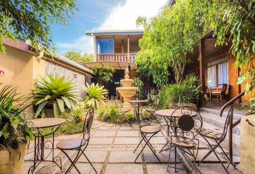 בית מלון כפרי Monteverde Country Lodge - Costa Rica