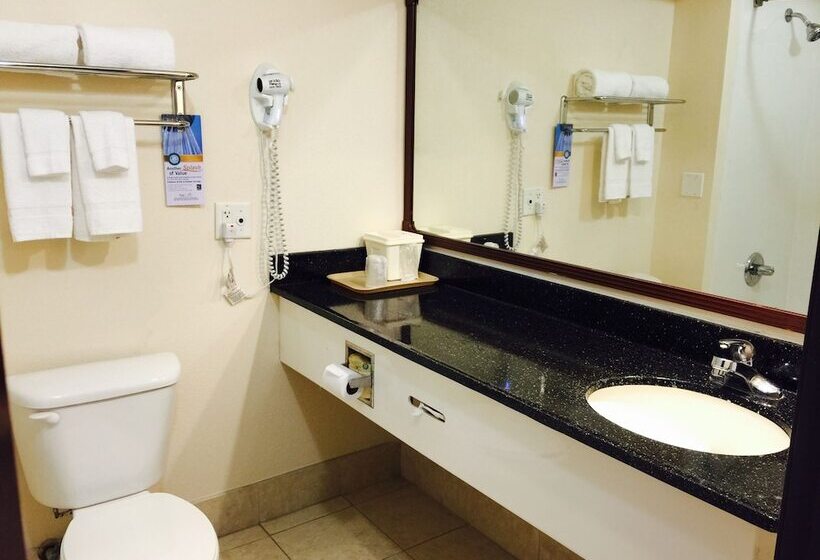 هتل Quality Inn & Suites West Chase