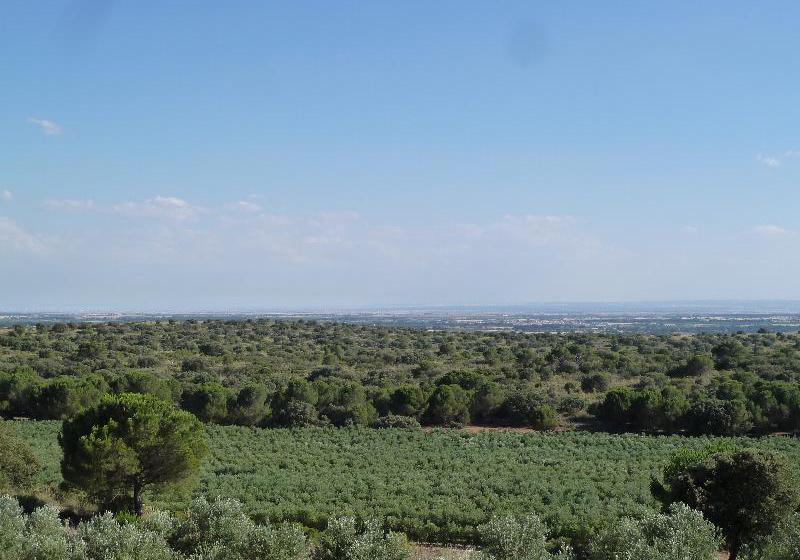 La Moragona Hotel con Encanto