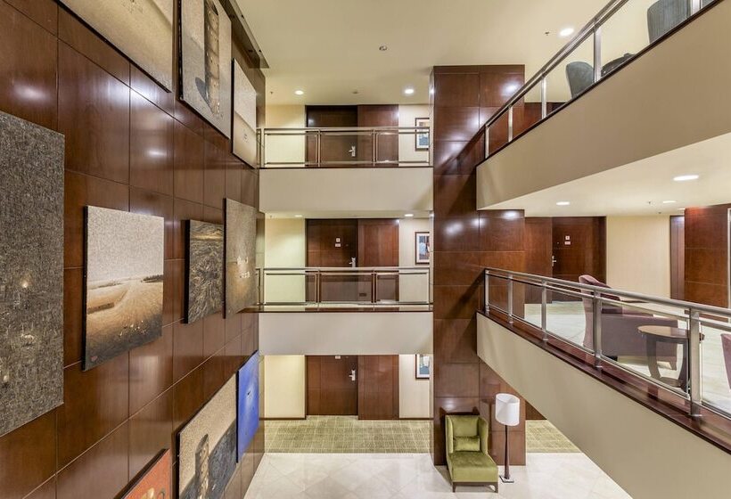 فندق Sheraton Mendoza