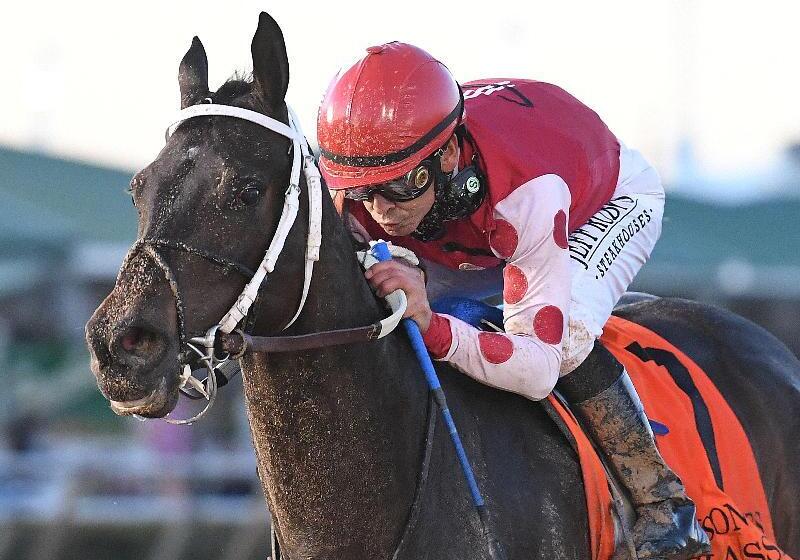 호텔 Staybridge Suites Houston Willowbrook, An Ihg