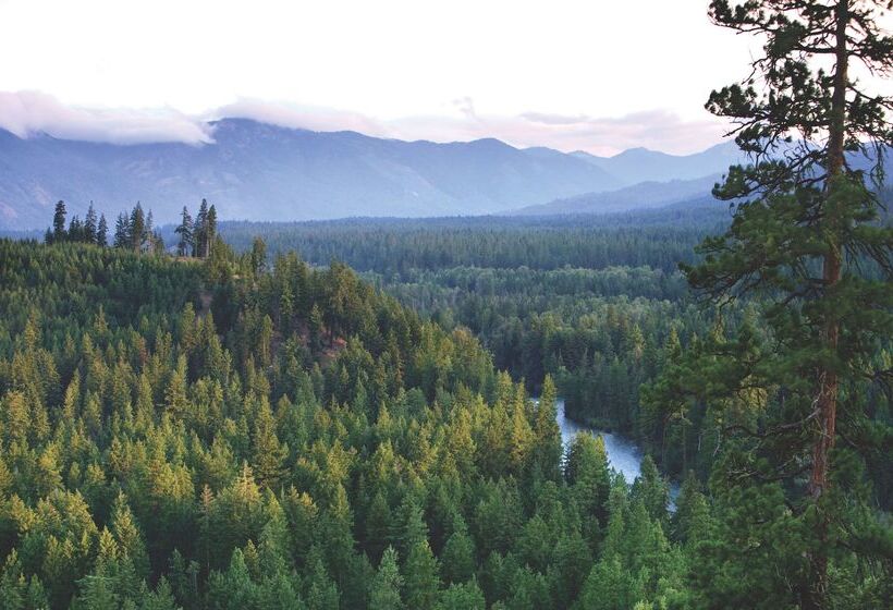 فندق Suncadia Resort