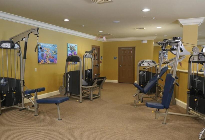 酒店 The Berkley, Orlando