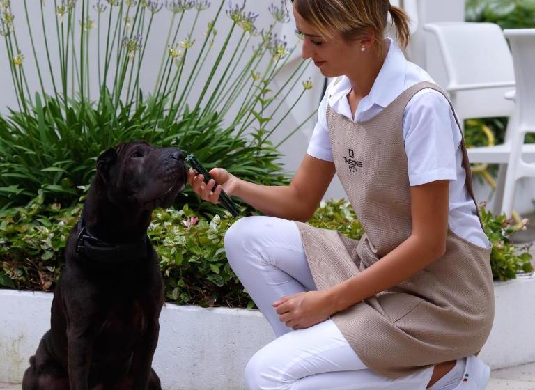 The One Hotel Designed For Adults Pet Lovers