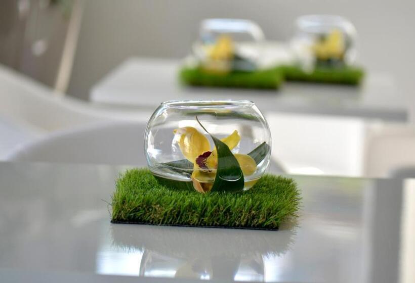 The One Hotel Designed For Adults Pet Lovers