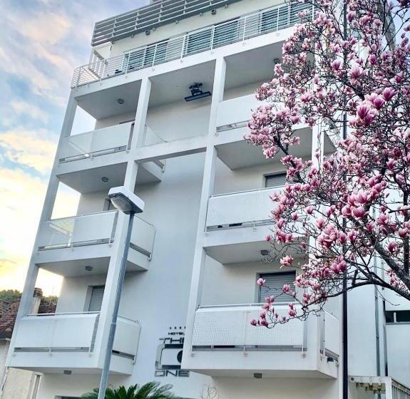 The One Hotel Designed For Adults Pet Lovers