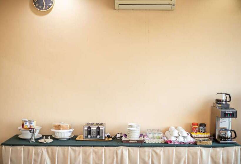 Отель The Palm Garden