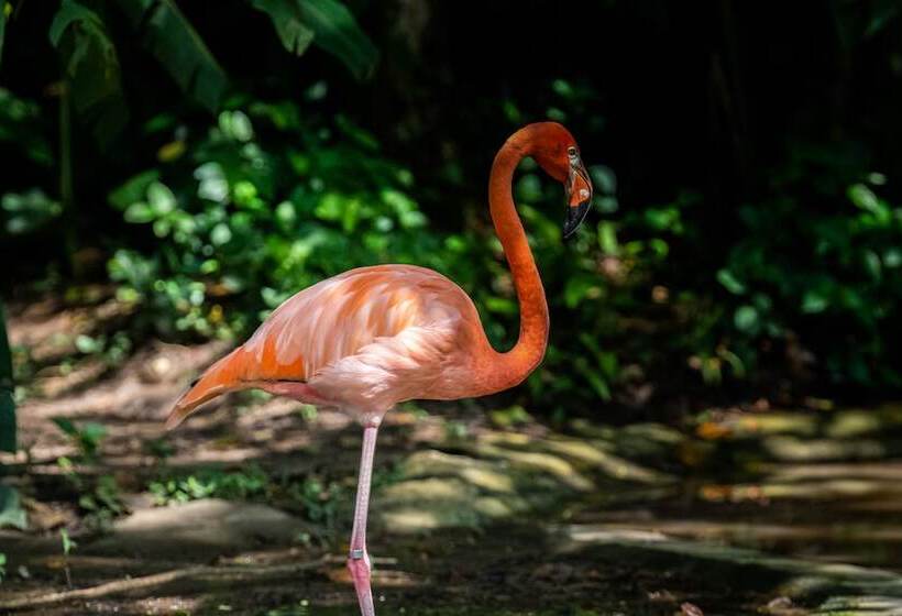 فندق Villa Mercedes Palenque