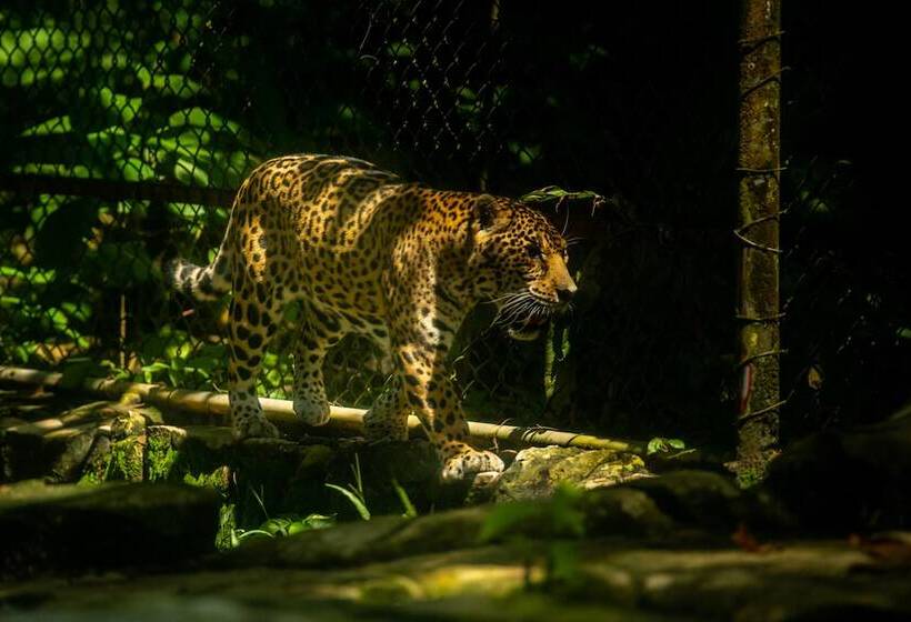 فندق Villa Mercedes Palenque