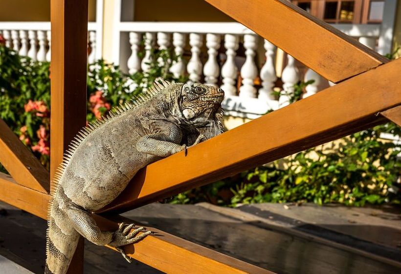 هتل Villa Terra Viva