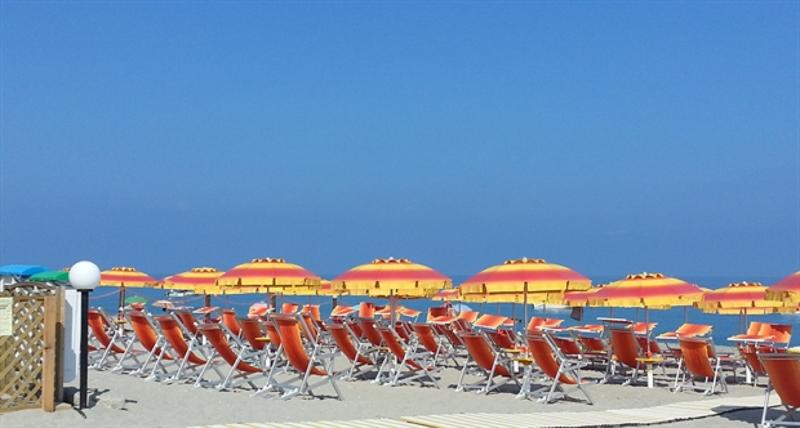 فندق Viola Palace