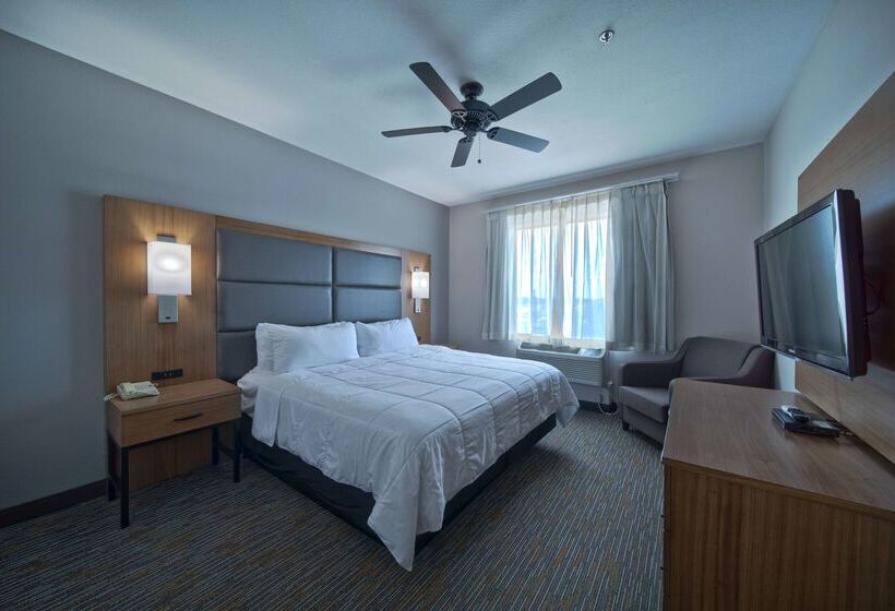 ホテル Wingate By Wyndham Houston Bush Intercontinental Airport