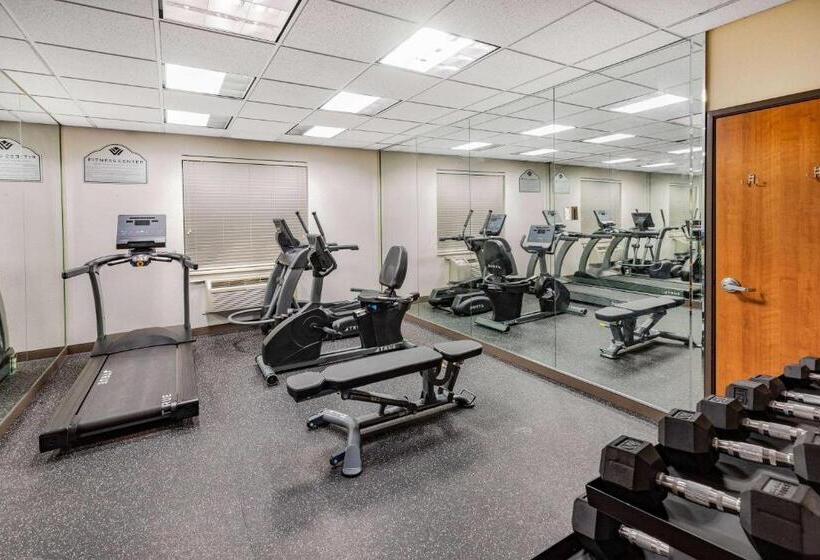 ホテル Wingate By Wyndham Houston Bush Intercontinental Airport