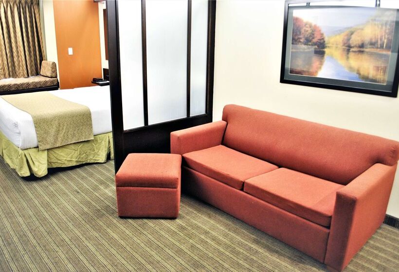 Microtel Inn And Suites By Wyndham Toluca