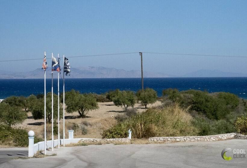 Summer View