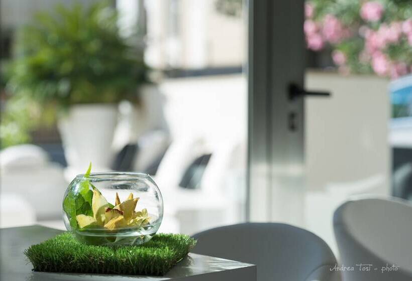 The One Hotel Designed For Adults Pet Lovers