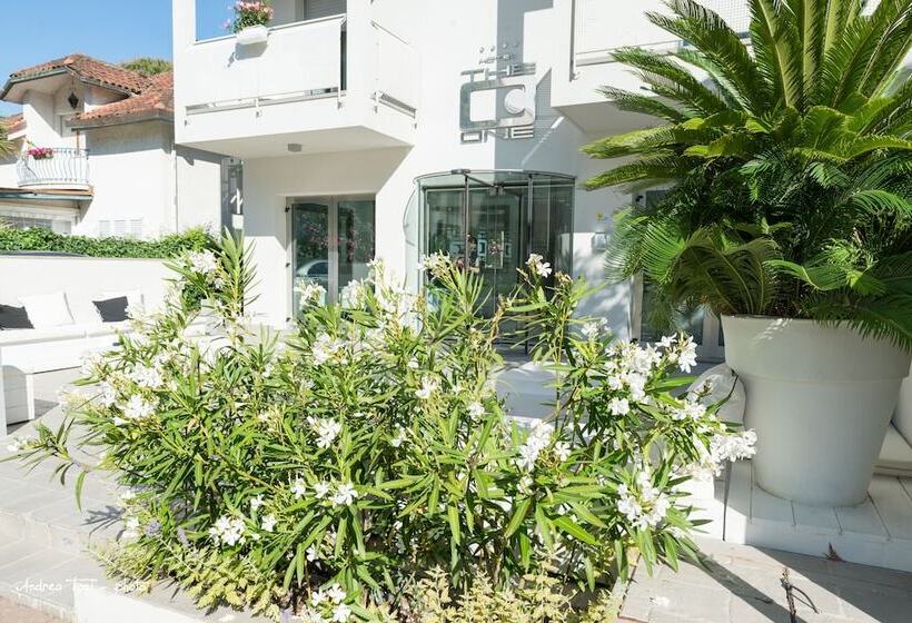 The One Hotel Designed For Adults Pet Lovers