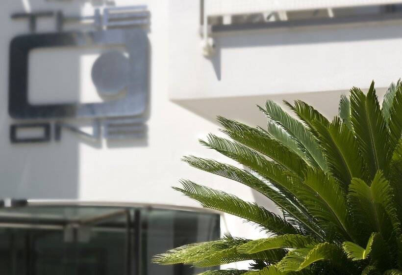 The One Hotel Designed For Adults Pet Lovers