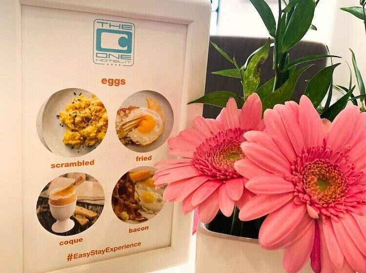 The One Hotel Designed For Adults Pet Lovers