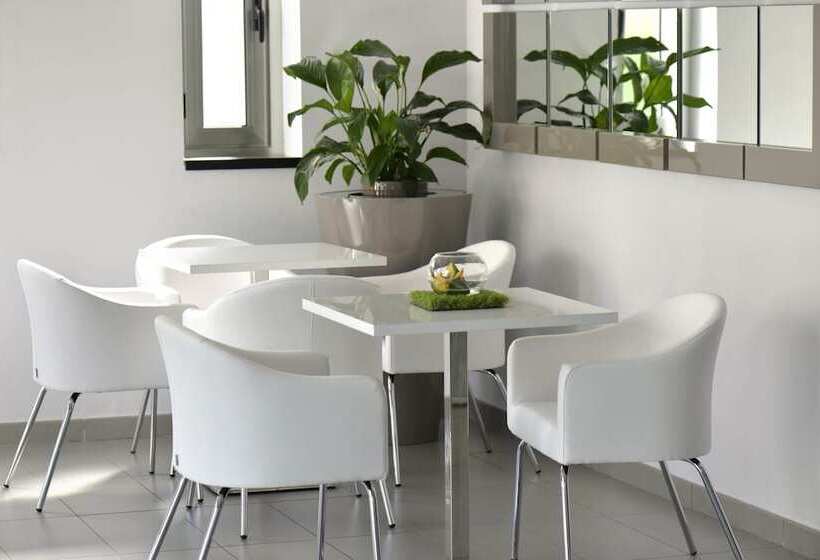 The One Hotel Designed For Adults Pet Lovers