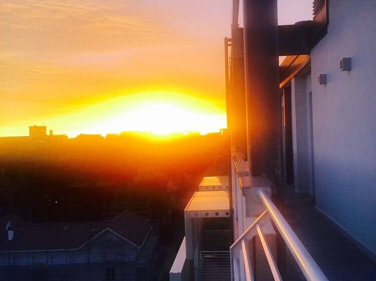 The One Hotel Designed For Adults Pet Lovers