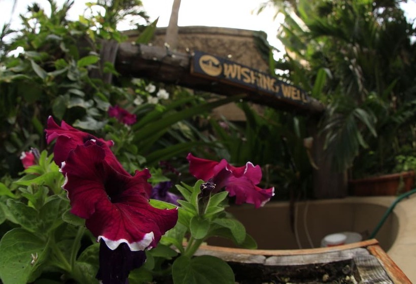 Villas El Rancho Green Resort