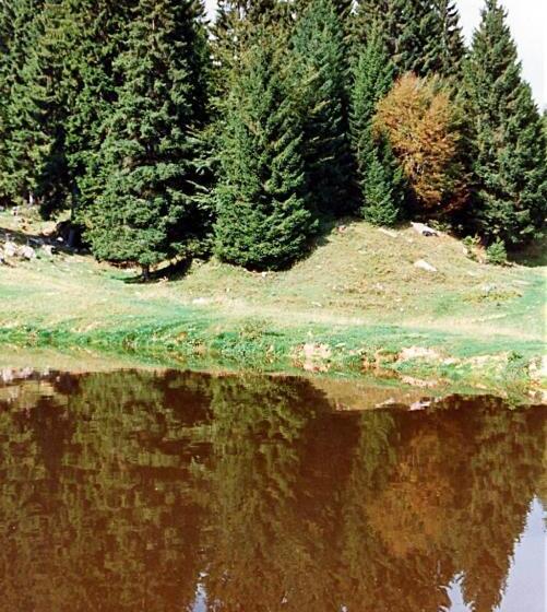 בית מלון כפרי Albergo Al Pino