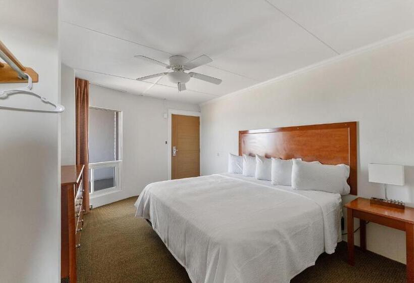 모텔 Waikiki Oceanfront Inn