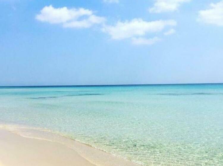 بنسيون B&b Butterfly