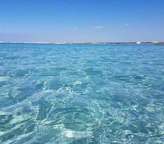 بنسيون B&b Butterfly