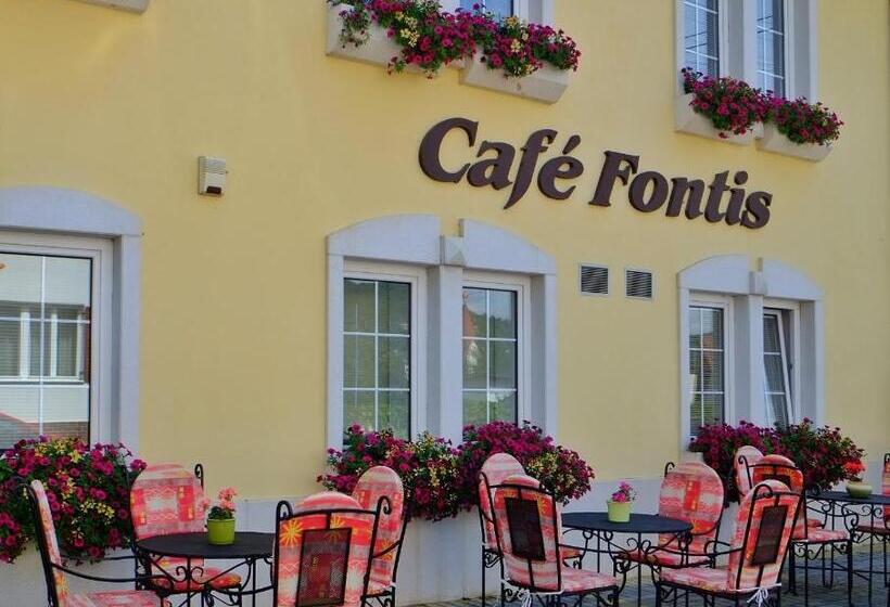 Пансион Penzion Fontis Terrae