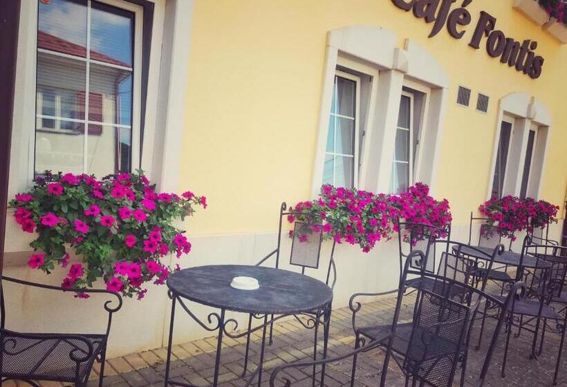 Пансион Penzion Fontis Terrae