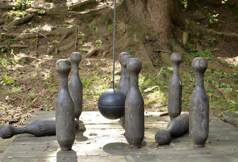 פנסיון Penzion Svojanov