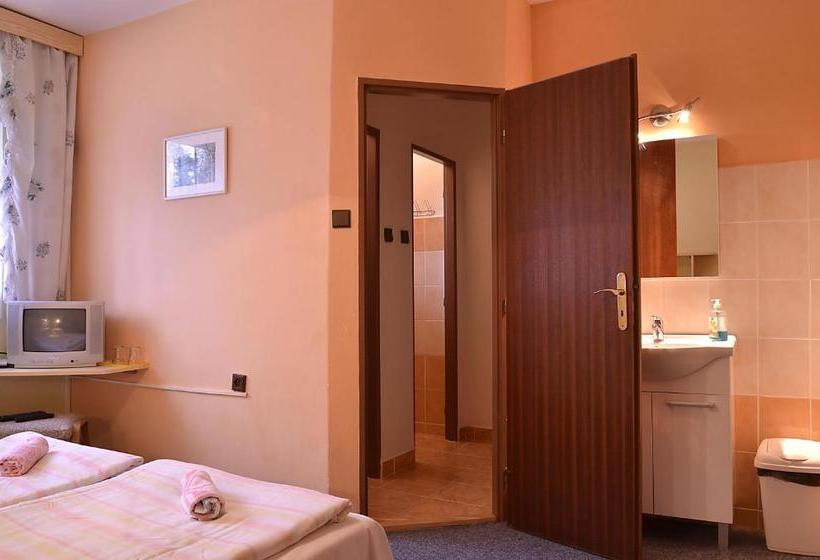 פנסיון Penzion Svojanov