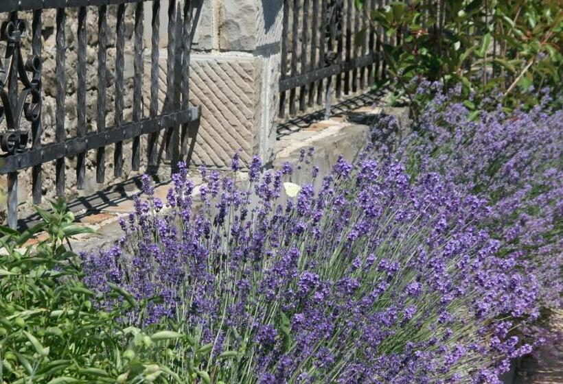 پانسیون Rooms & Apartments Giulia