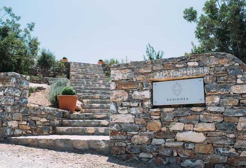 بنسيون Schinoza Luxury Suites